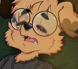 So fuckin sleepy